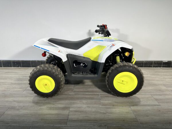 CFMOTO CFORCE EV110 2024