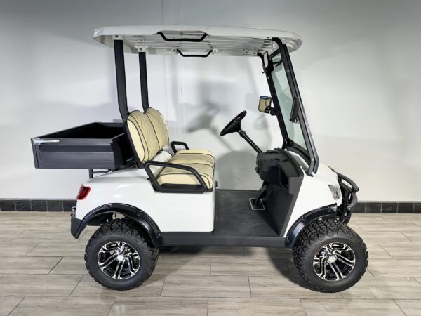 Marshell 2-seater utility golf cart 2024
