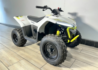CFMOTO EV110 New Wrap