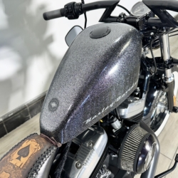 Harley Davidson forty eight
